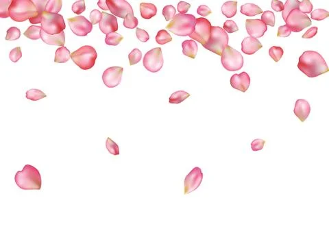 Abstract background with flying pink rose petals. Stock Illustration