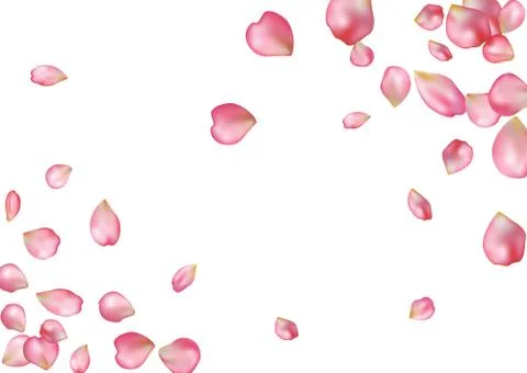 Abstract background with flying pink rose petals. Stock Illustration