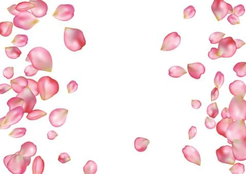 Abstract background with flying pink rose petals. Stock Illustration