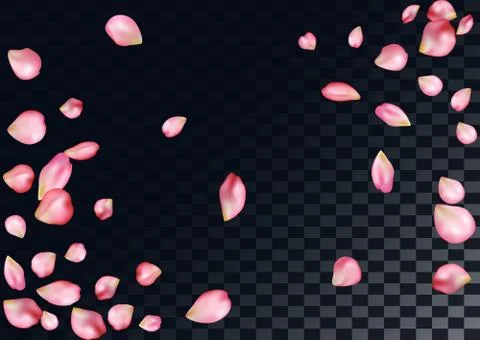 Abstract background with flying pink rose petals. Stock Illustration