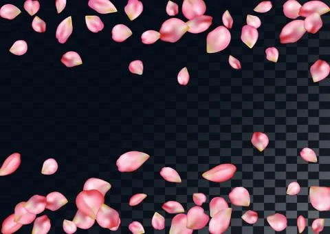Abstract background with flying pink rose petals. Stock Illustration