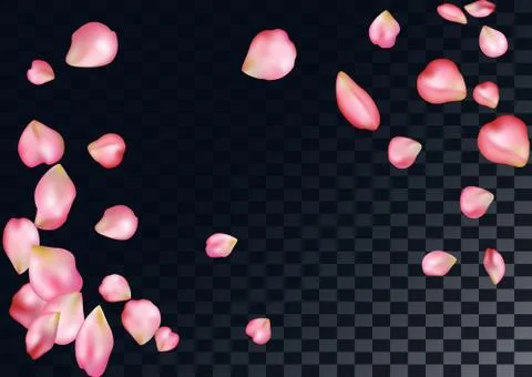 Abstract background with flying pink rose petals. Stock Illustration
