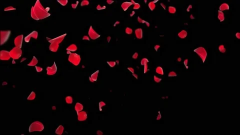 Abstract Background Flying Red Rose Peta... | Stock Video | Pond5