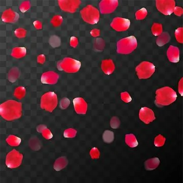 Abstract background with flying red rose petals on a black transparent Stock Illustration