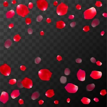 Abstract background with flying red rose petals on a black transparent Stock Illustration