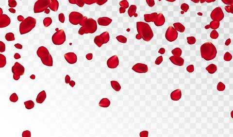 Abstract background with flying red rose petals on a white transparent Stock Illustration