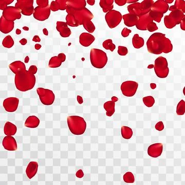 Abstract background with flying red rose petals on a white transparent Stock Illustration