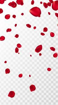 Abstract background with flying red rose petals on a white transparent 스톡 일러스트