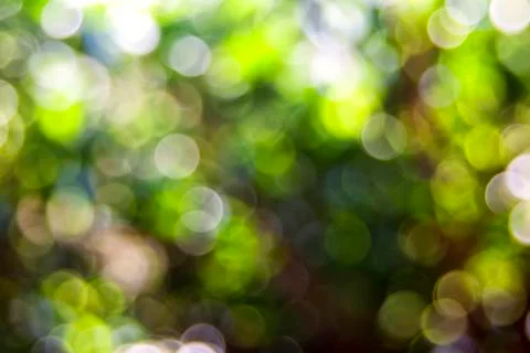 Abstract Background. foliage. Stock Photos