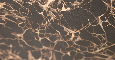 Abstract background Stock Footage 90806764