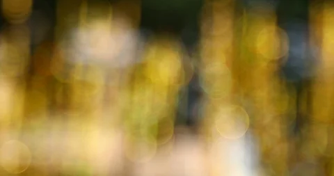 Abstract background Stock Footage 116915177