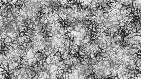 Abstract background Stock Footage 220644265