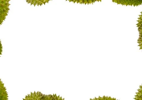 Abstract background frame border group of durian with green prickly peel frui Stock Photos