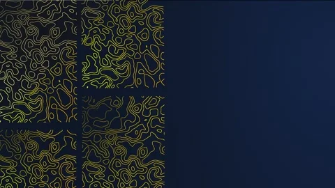 Abstract background with geometric ornament for presentation. Luxury template Stock Footage 254846316