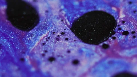 Abstract background glitter paint flow black blue Stock Footage 261961203