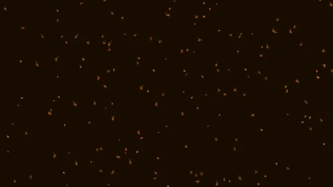 Abstract background of glowing embers floating and swirling in darkness Stock-Footage 340392711