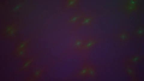 Abstract background of glowing green laser dots rotating on a dark purple s.. Stock Footage 346317955