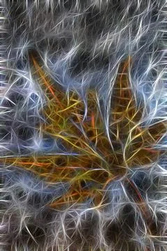 Abstract background with glowing lines Stock Photos