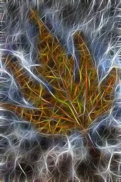 Abstract background with glowing lines 스톡 사진