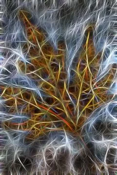 Abstract background with glowing lines Stock Photos