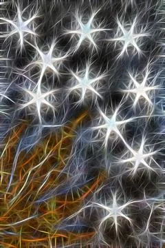 Abstract background with glowing lines Stock Photos