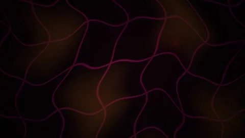 Abstract Background with Glowing Purple Wavy Lines in Dark Motion Graphic Loo Stock Footage 343684695