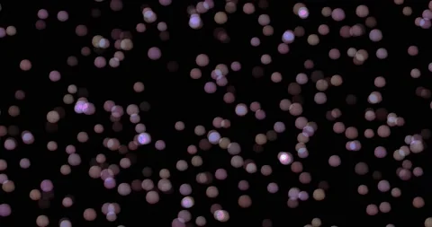 Abstract background of glowing shiny moving blurry bokeh particles. blend mode Stock Footage 164493377