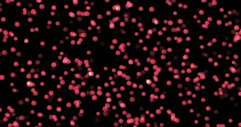 Abstract background of glowing shiny moving blurry bokeh particles. blend mode Stock-Footage 165902810