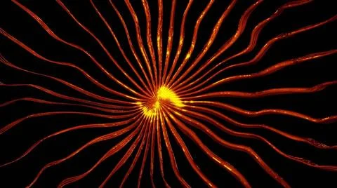 Abstract background with gold elements Abstract background with gold eleme... 스톡 사진