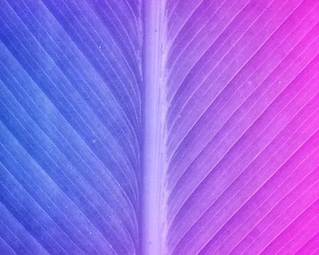 Abstract background gradient blue purple rough surface Stock Illustration