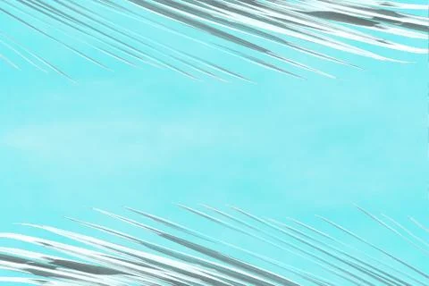 Abstract background of gray branches of palm trees overlooking the blue sky. Stock Photos