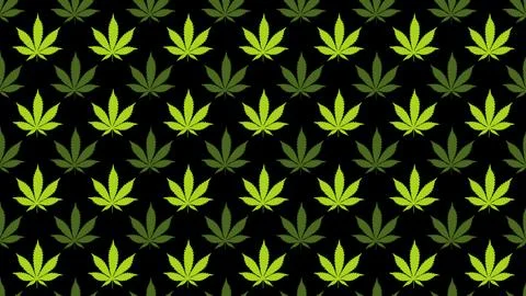 Abstract background of green and light green hemp leaves on black Stock Illustration