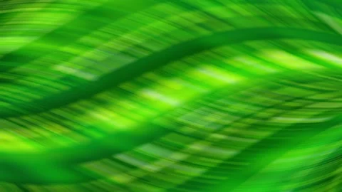 Abstract background with green and yellow pattern; green leaf and green 스톡 동영상 247012099