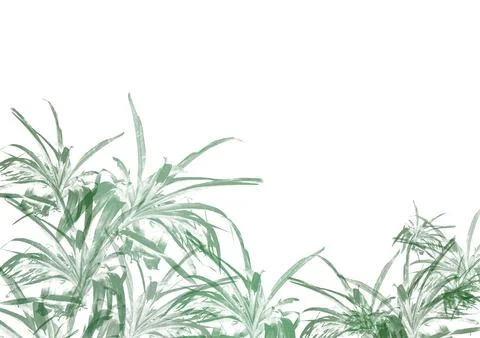 Abstract background with a green grass and plants. digital art. Stock Illustration