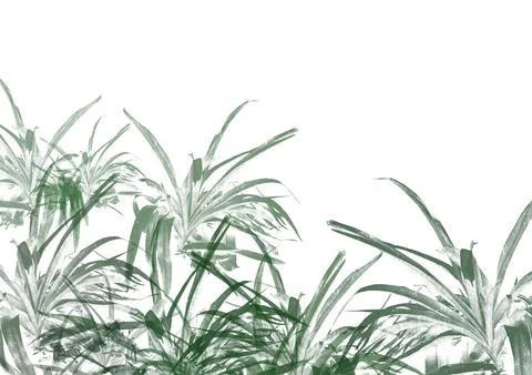 Abstract background with a green grass and plants. digital art. Stock Illustration