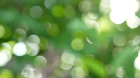 Abstract background - green, lilac, yellow colors, spring kaleidoscope. Stock Footage 165325272
