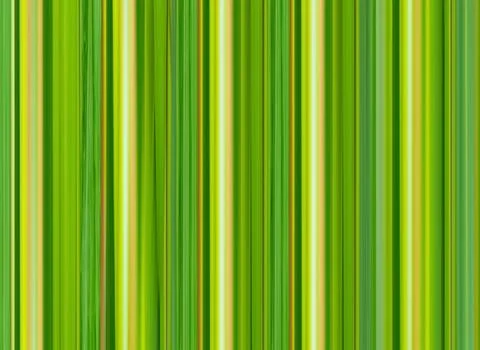 Abstract background of green lines parallel stripes pattern bright Stock Illustration