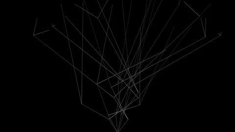 Abstract background of growing white lines forming tree structure, on black (4K) Video stock 115698870