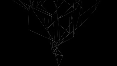 Abstract background of growing white lines forming complex tree structure (4K) Stock Footage 115700463