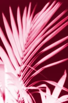 Abstract background Stock Illustration