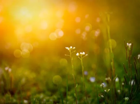 Abstract background Stock Illustration