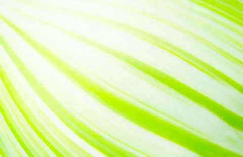 Abstract background Stock Illustration