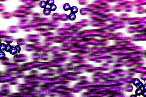 Abstract background. Stock Illustration