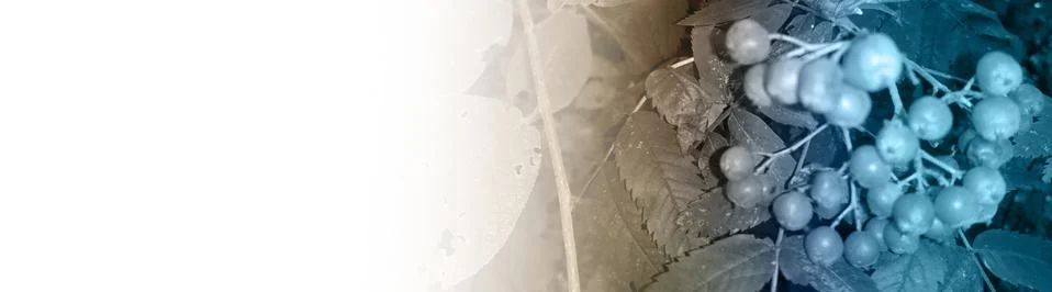 Abstract background Stock Illustration