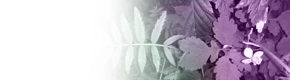 Abstract background Stock Illustration