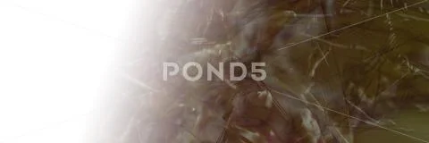 Abstract background 스톡 일러스트