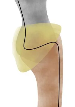 Abstract background Stock Illustration