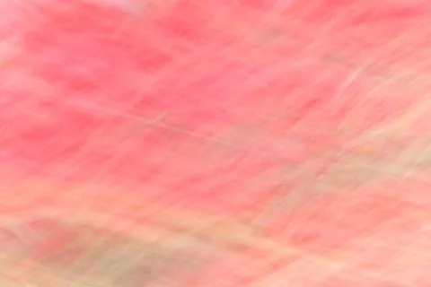 Abstract background, image of azalea flowers with a motion blur effect 스톡 사진