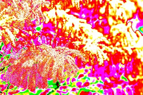 Abstract background with the image of a palm tree in red and green. Abstract  Stock Photos