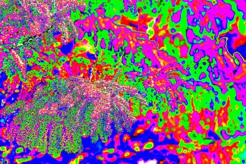 Abstract background with the image of a palm tree in red and green. Abstrac.. Stock Photos